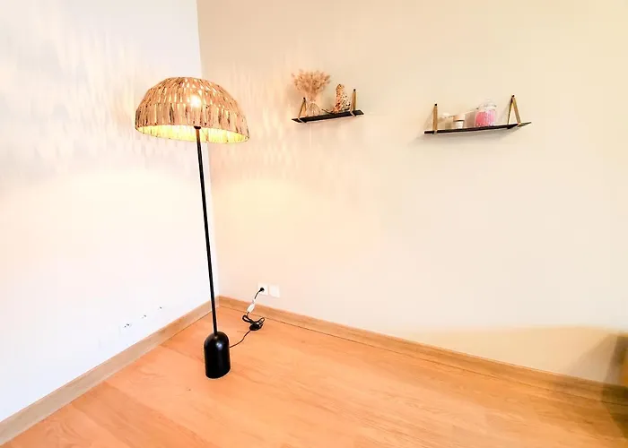 Appartamento Standing Avec Vue Sur La Mayenne *