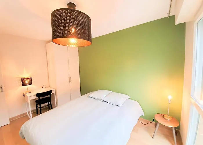 Standing Avec Vue Sur La Mayenne Appartamento *