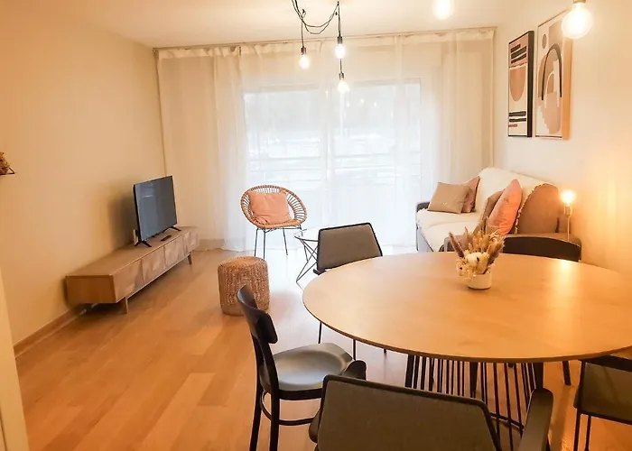 Standing Avec Vue Sur La Mayenne Laval (Mayenne)