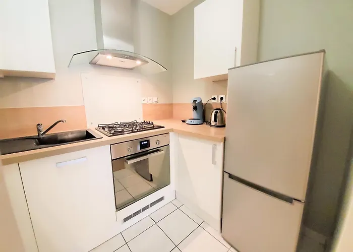 Standing Avec Vue Sur La Mayenne Appartamento *